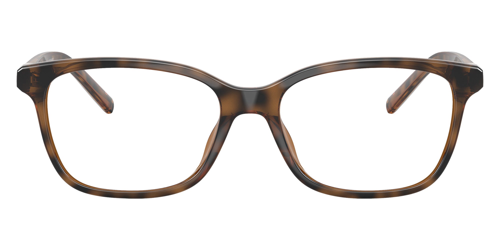 ARMANI EXCHANGE AX3139U 8213 53 - Dark Havana #id:ax3139u8213_s:102120