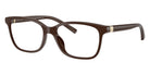 ARMANI EXCHANGE AX3139U 8402 53 - Shiny Dark Brown #id:ax3139u8402_s:108105