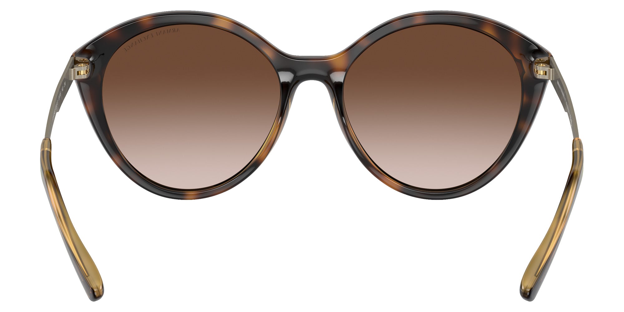 ARMANI EXCHANGE AX4134S 821313 55 - Shiny Havana #id:ax4134s821313_s:100115