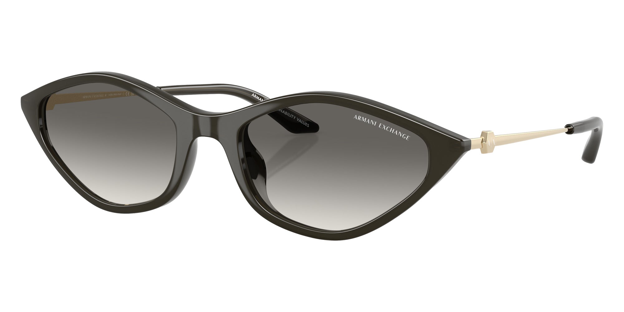 ARMANI EXCHANGE AX4152SU Irregular Sunglasses | EyeOns.com