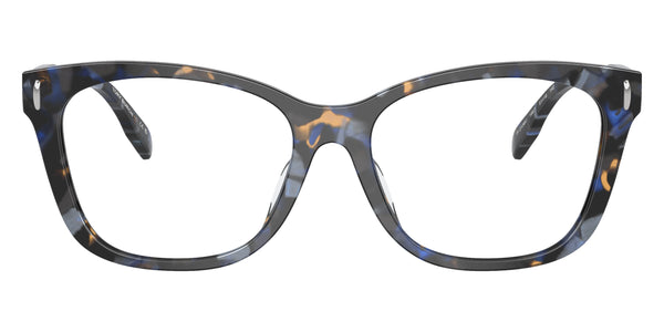 Blue Tortoise / 54-16-140