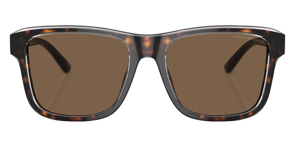 Shiny Havana/Top Crystal / Dark Brown / 56-18-145