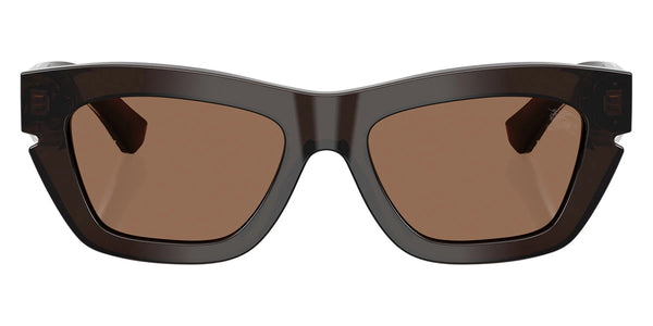 Brown/Top Crystal on Brown / Dark Brown / 51-19-140