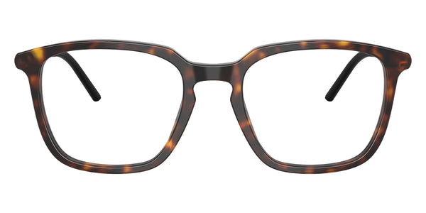 Shiny Havana/Matte Anthracite / 51-20-145