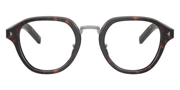 Root Tortoise / 48-23-145