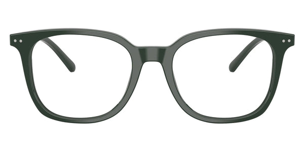 Shiny Green / 51-19-145