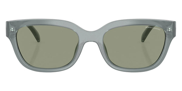 Shiny Opal Gray / Green / 54-19-140