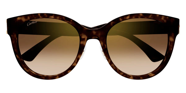 Havana / Brown Multi Treatment / 56-21-145