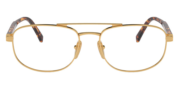 Gold/Magma Tortoise / 55-17-145