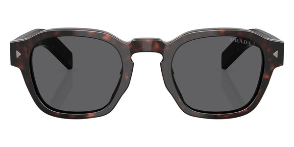 Root Tortoise / Dark Gray / 53-21-150