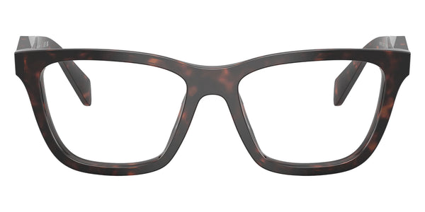 Root Tortoise / 52-17-145