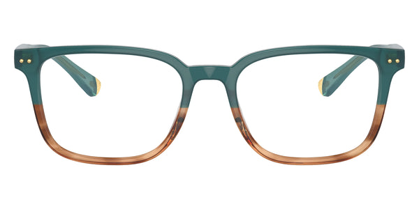 Trekking Green Brown Horn / 54-18-145