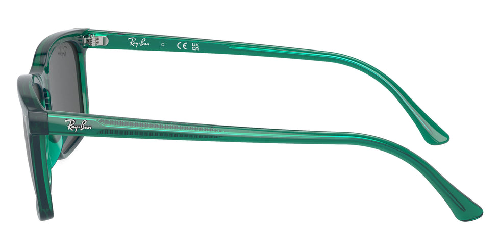 Ray-Ban - RB4435