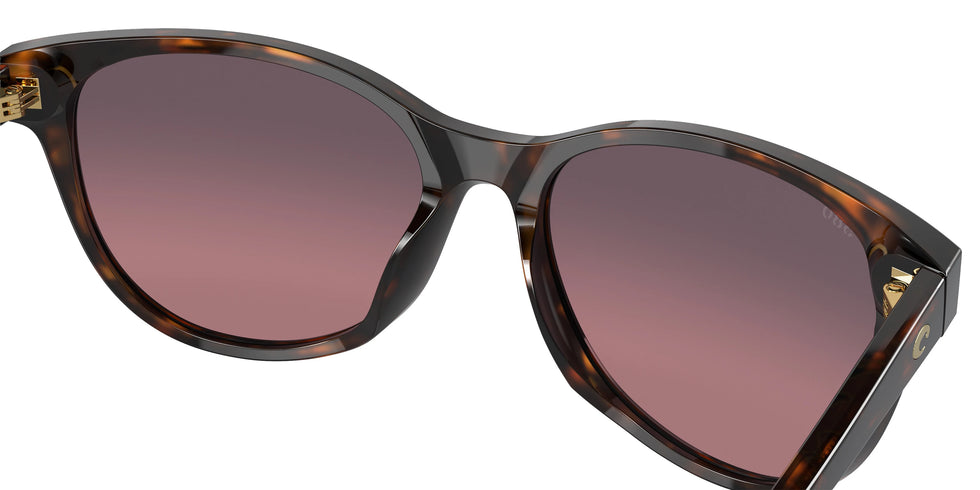 COSTA - 6S2012 Catherine