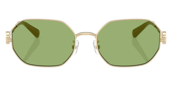 Shiny Light Gold / Light Green / 55-18-140