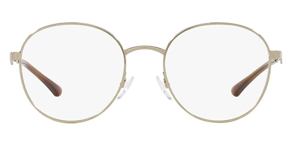 Shiny Pale Gold / 50-19-140