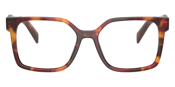 Poppy Tortoise/Bordeaux / 56-15-140