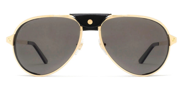 Gold / Gray AR Polarized / 61-17-135