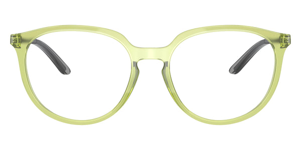 Polished Transparent Fern/Gunmetal / 53-17-141