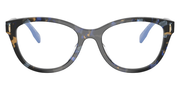 Blue Tortoise / 47-18-135