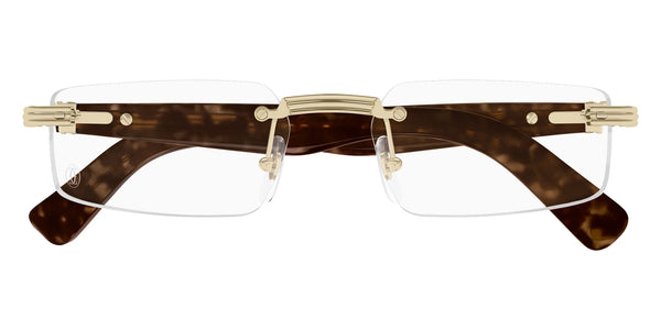 Gold/Havana / 55-18-145