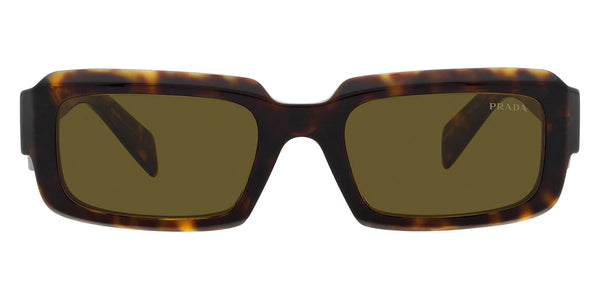 Loden/Black/Tortoise / Dark Brown / 54-21-145