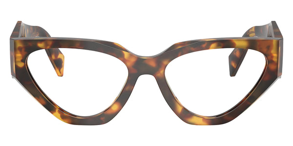 Honey Tortoise / 54-17-145