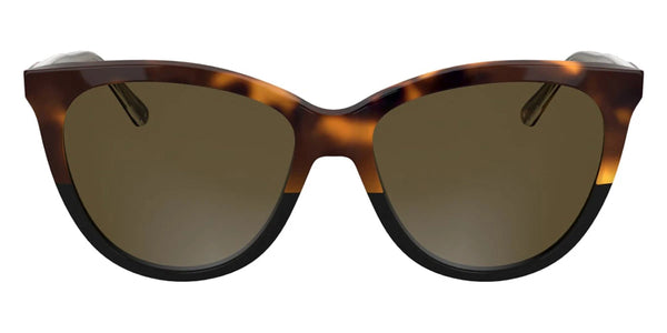 Havana/Black / 55-16-145