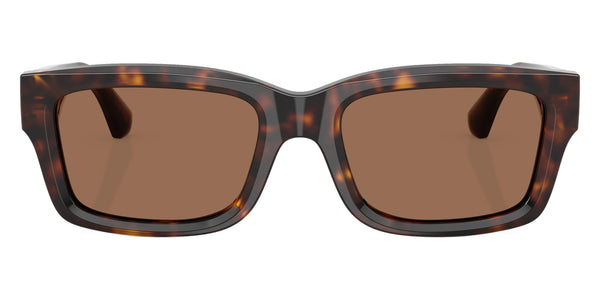 Dark Havana / Dark Brown / 55-20-145