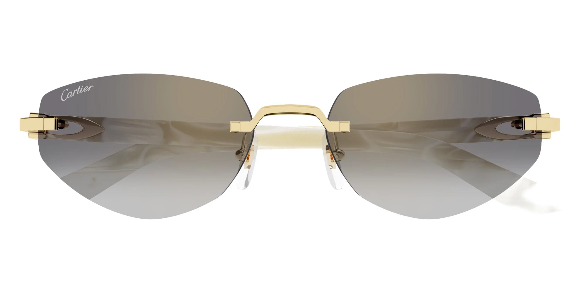 Cartier - CT0580S C Décor