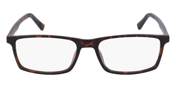 Tortoise / 55-17-145