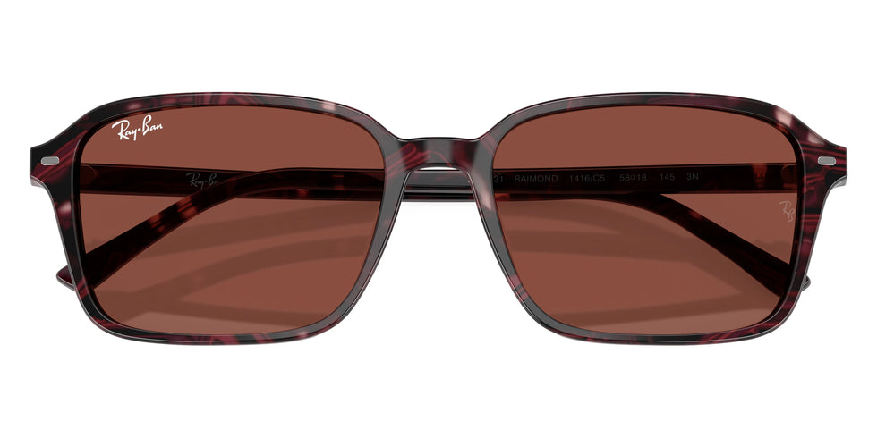Ray-Ban - Raimond RB2231