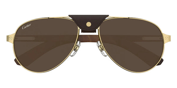 Gold/Brown / Brown Polarized Multi Treatment / 59-18-145