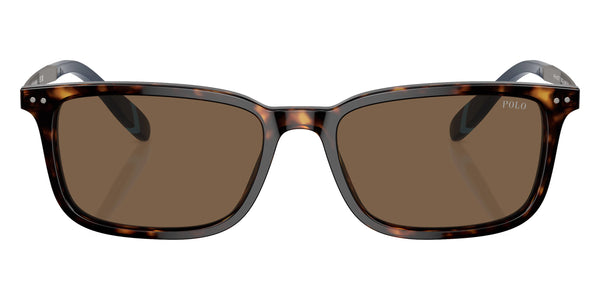 Shiny Dark Havana/Gunmetal/Blue / Brown / 55-18-145