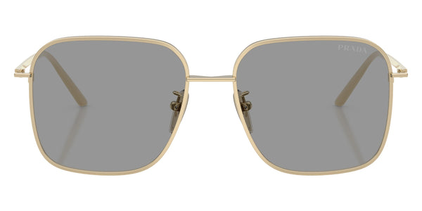 Pale Gold / Gray / 54-17-145