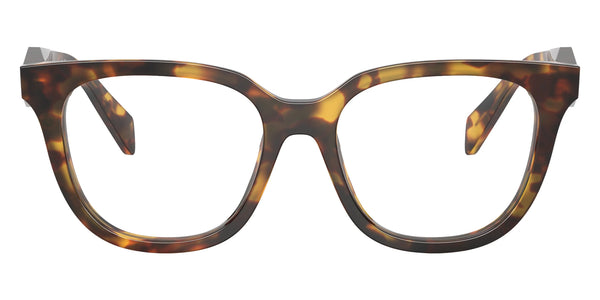 Honey Tortoise / 53-17-145