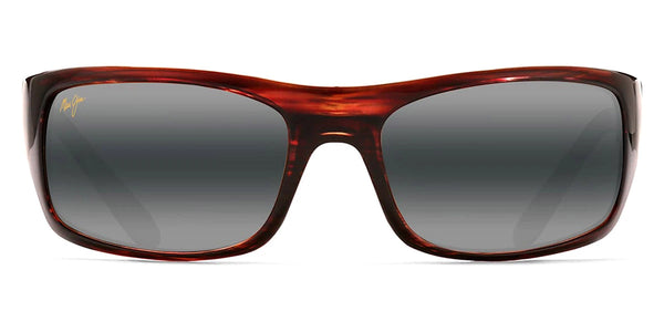 Tortoise / Neutral Gray / 65-19-120