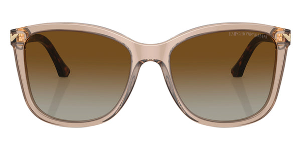 Transparent Tundra/Havana / Gradient Brown Polarized / 56-18-140