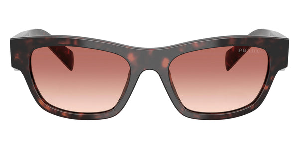 Root Tortoise / Light Brown Gradient Bordeaux / 52-19-145