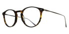 BRETT BIG MILES SUN C05 51 - Tortoise Brown/Silver #id:brtbigmilessunc05st_s:102105