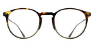 BRETT MILES C13 49 - Green Gradient Tortoise/Silver #id:brtmilesc13st_s:112100