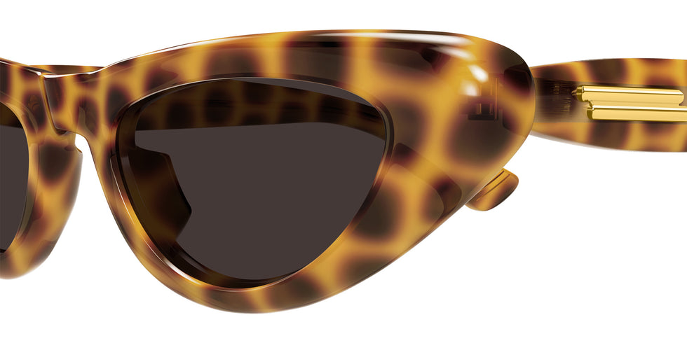 Bottega Veneta BV1450S 002 51 - Havana / Brown #id:bv1450s002_s:102110