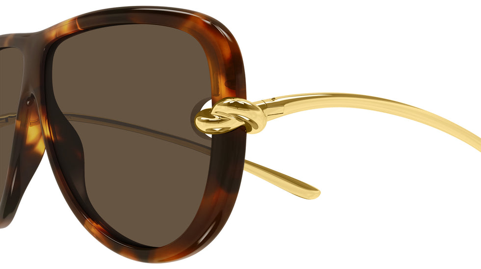 Bottega Veneta BV1513S 002 61 - Havana/Gold / Brown #id:bv1513s002_s:102110