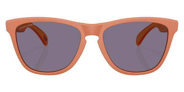 Matte Ginger / Prizm Gray / 55-17-139