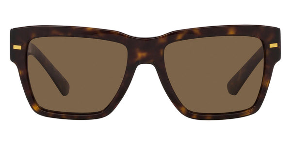 Havana / Dark Brown / 55-18-145