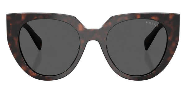 Root Tortoise / Dark Gray / 52-20-140