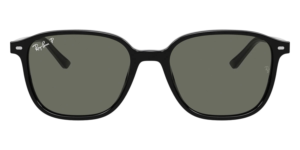 Ray-Ban - Leonard RB2193