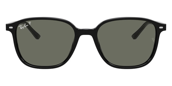 Black / G-15 Green Polarized / 53-18-145