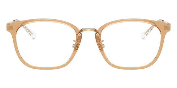 Transparent Brown on Pale Gold / 51-19-145