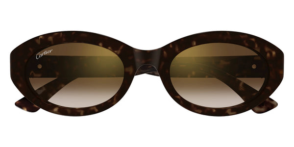 Havana / Brown / 53-21-140